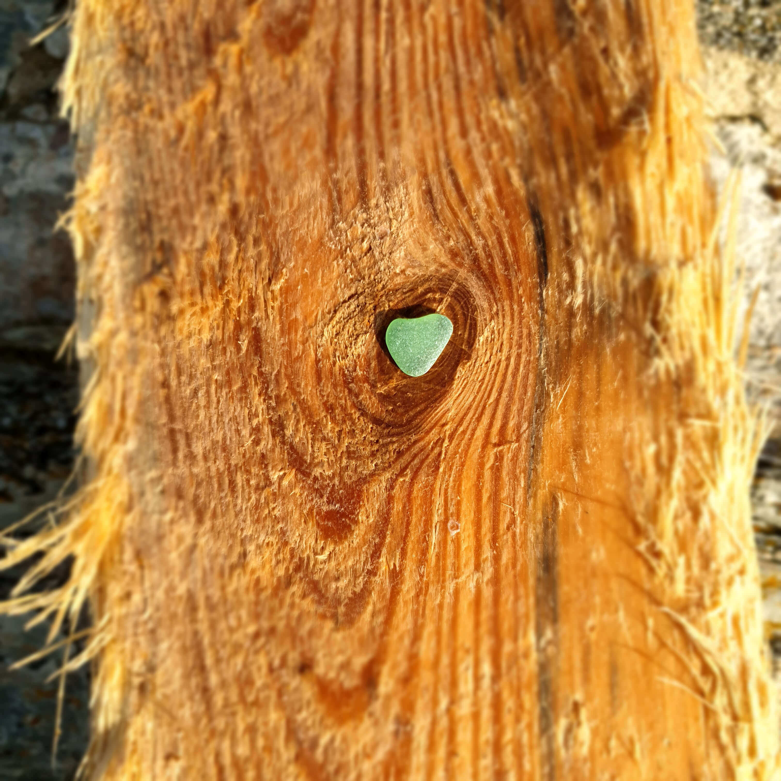 Cœur de verre poli, de coloris vert sur une planche de bois
